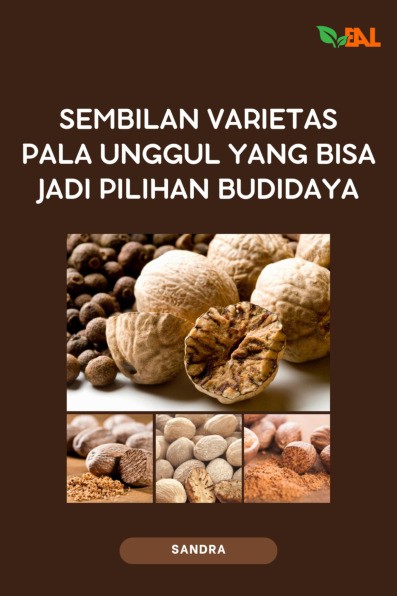 Sembilan Varietas Pala Unggul yang Bisa Jadi Pilihan Budidaya